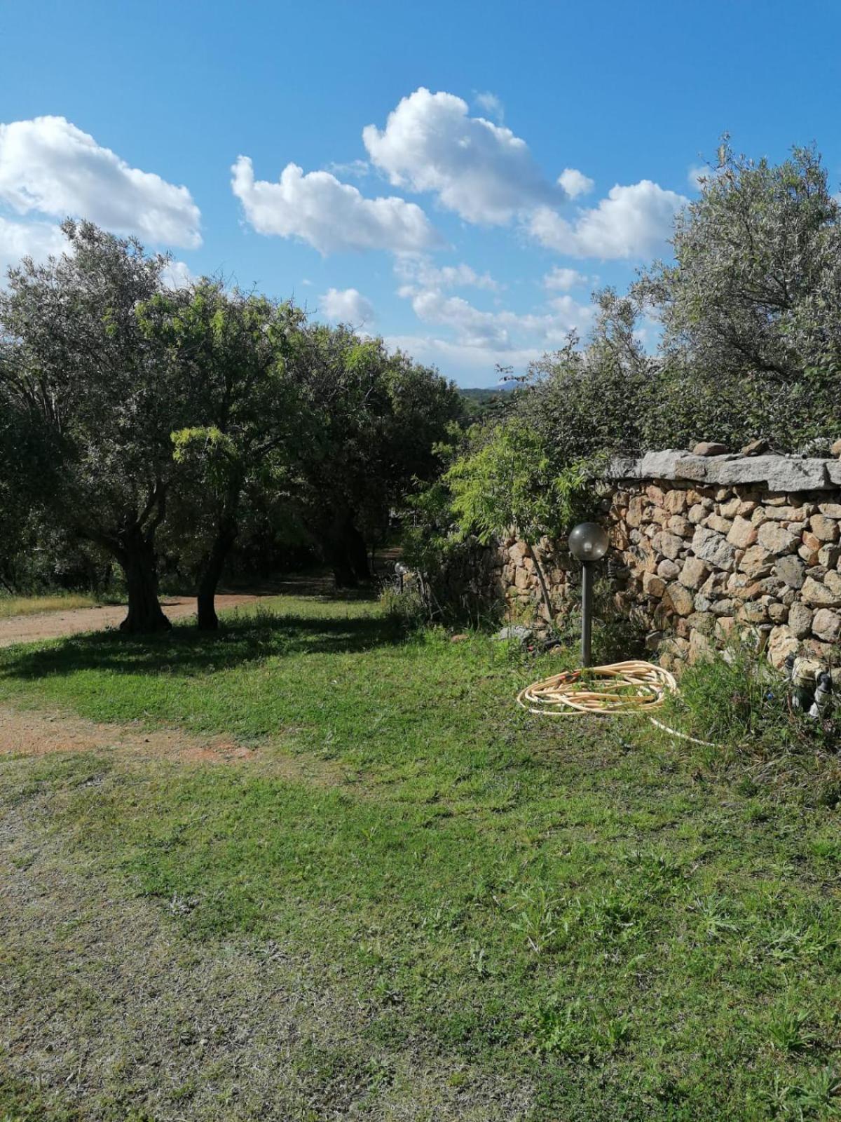 Casa Orecchioni Arzachena Zewnętrze zdjęcie