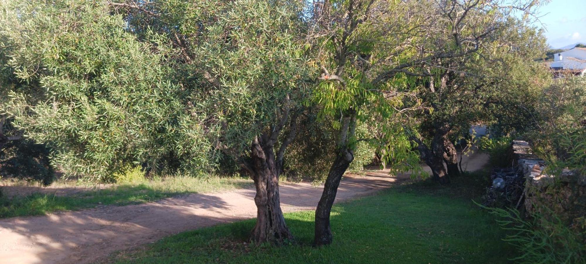 Casa Orecchioni Arzachena Zewnętrze zdjęcie